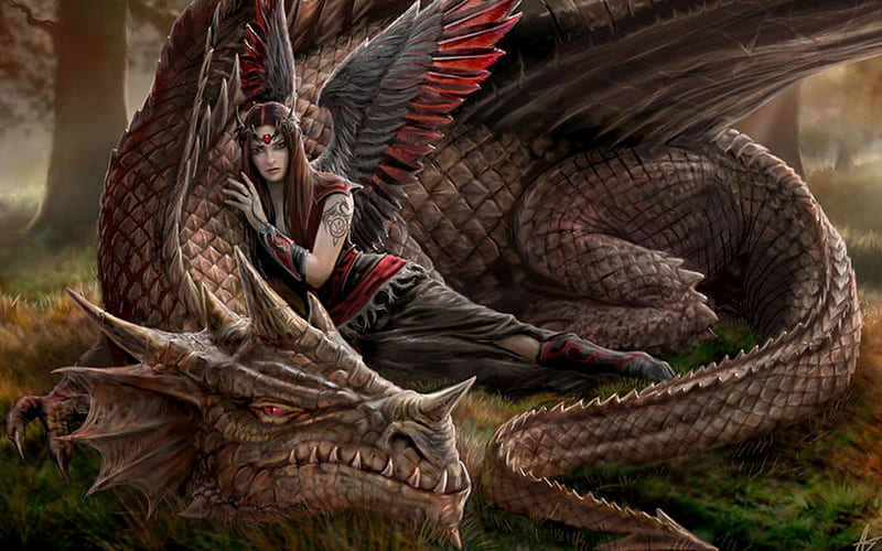 Read more about the article The Rise of Dragon Fantasy Books: